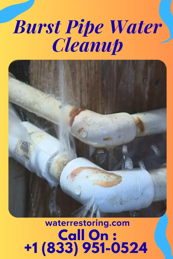 Burst Pipe Water Cleanup in North Vandergrift, PA