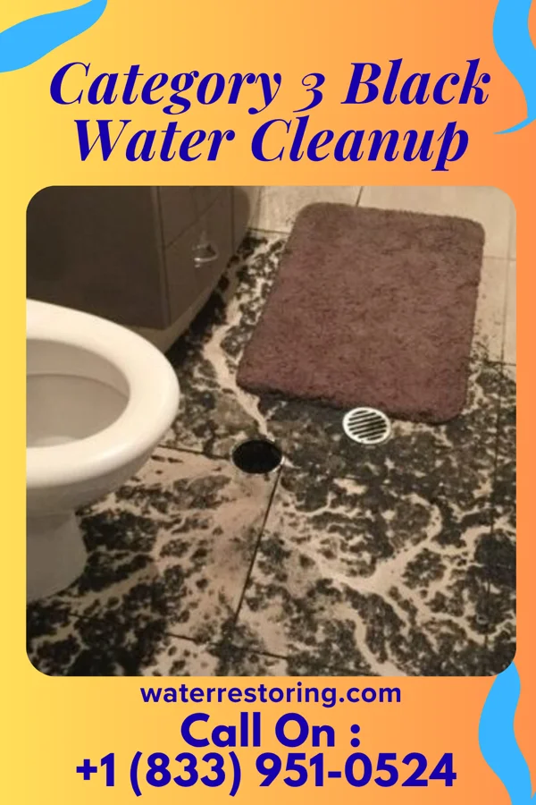 Category 3 Black Water Cleanup in North Vandergrift, PA