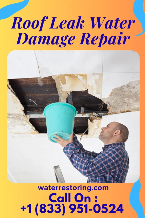 Roof Leak Water Damage Repair in North Vandergrift, PA