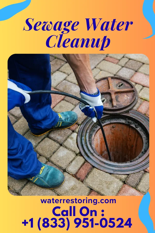 Sewage Water Cleanup in North Vandergrift, PA